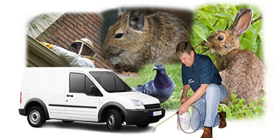Doncaster local van